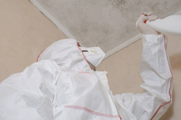 Best Attic Mold Remediation in Watts Mills, SC