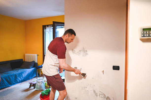 Trusted Watts Mills, SC Mold Remediation Experts